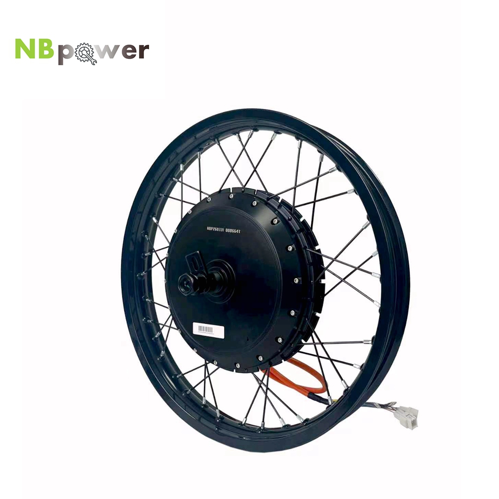 NBpower/170mm Dropout QS 273 4 - đánh giá và giá Qs Motor 273 8000W Hub Motor